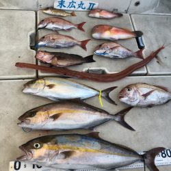 末広丸(熊本) 釣果