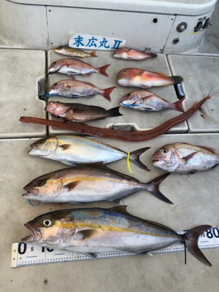 末広丸(熊本) 釣果