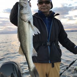 アマテラス 釣果