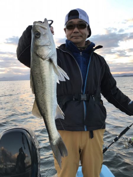 アマテラス 釣果