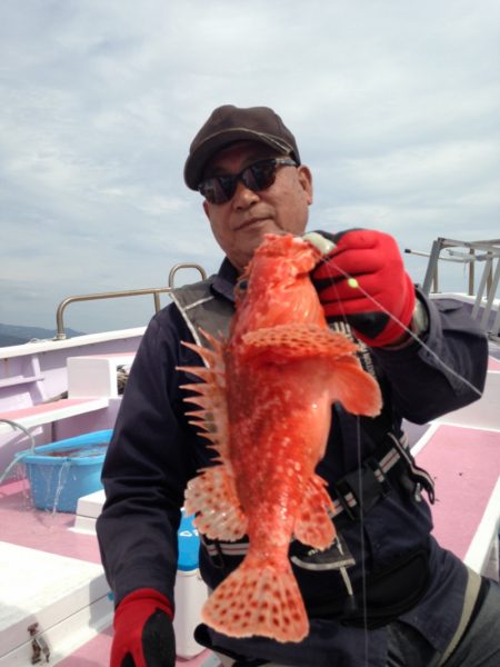 晃山丸 釣果