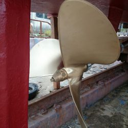 エンペラー 釣果