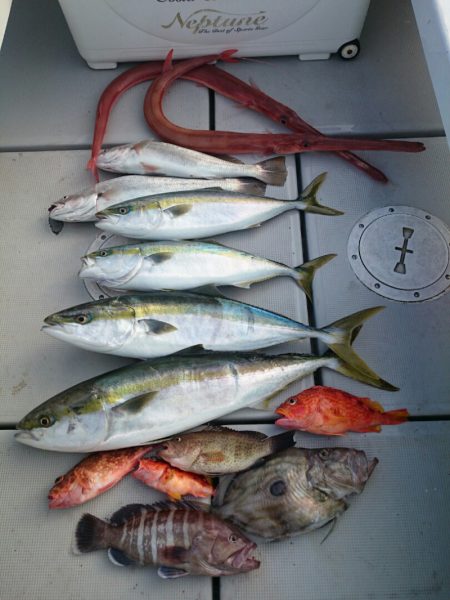 エンペラー 釣果