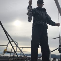 シーランチ 釣果