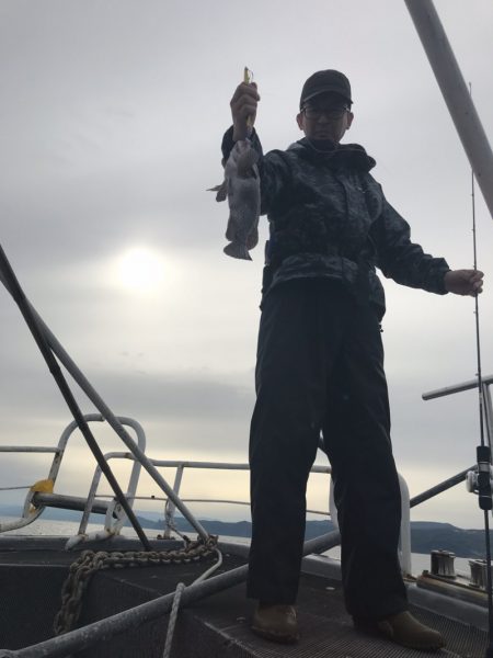 シーランチ 釣果