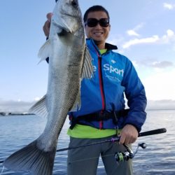 アマテラス 釣果