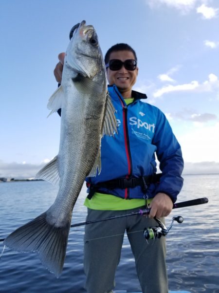 アマテラス 釣果