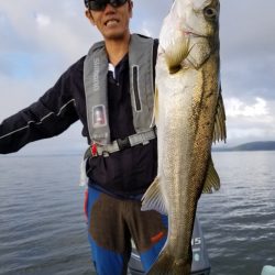 アマテラス 釣果