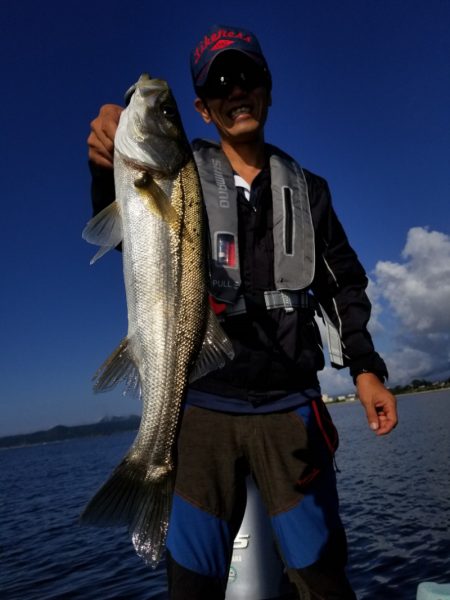 アマテラス 釣果