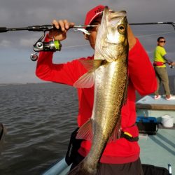 アマテラス 釣果