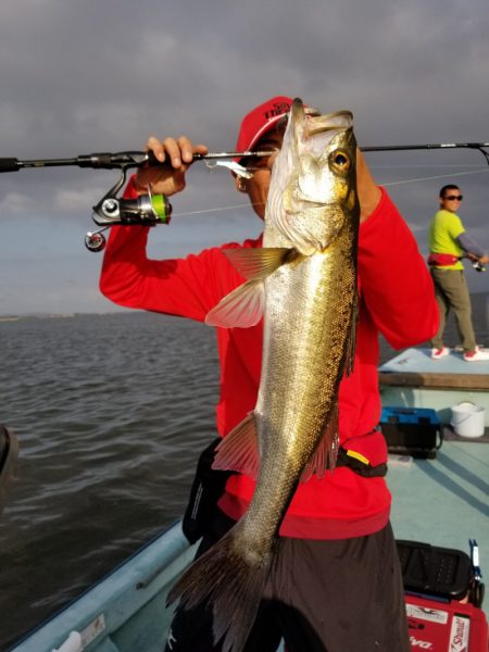 アマテラス 釣果