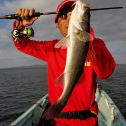 アマテラス 釣果