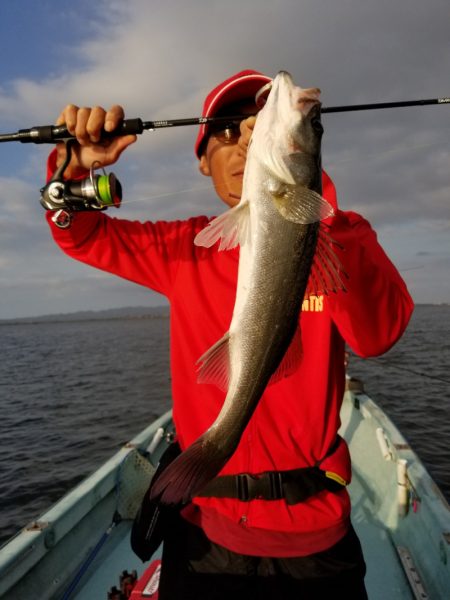 アマテラス 釣果