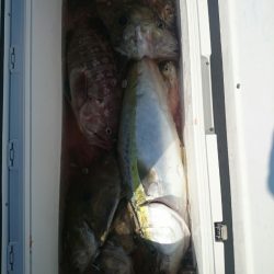 エンペラー 釣果