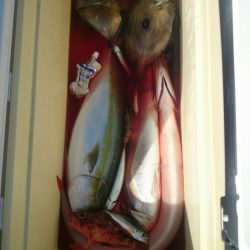 エンペラー 釣果