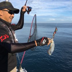 うさぎ丸 釣果