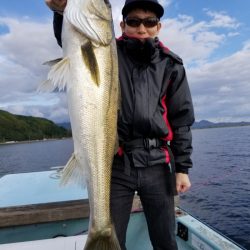 アマテラス 釣果