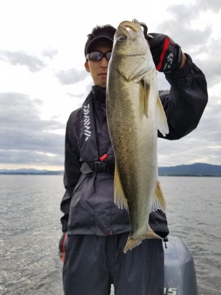 アマテラス 釣果