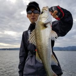 アマテラス 釣果