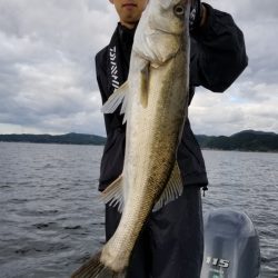 アマテラス 釣果