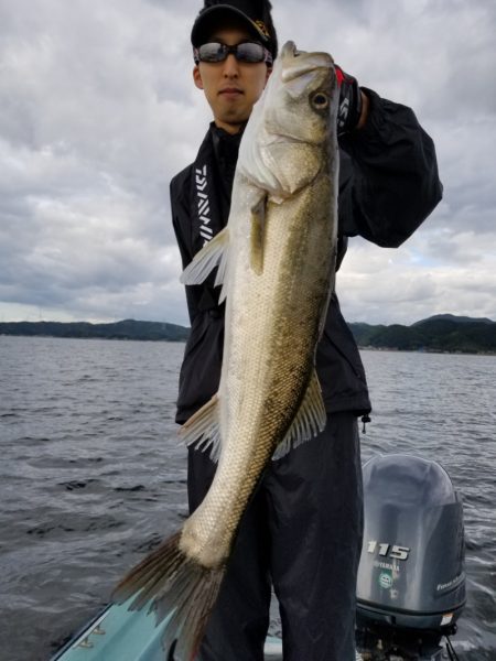 アマテラス 釣果