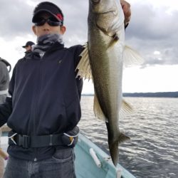 アマテラス 釣果