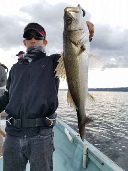 アマテラス 釣果