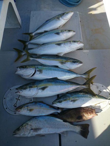 エンペラー 釣果