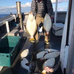 シーランチ 釣果