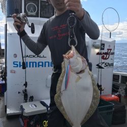 シーランチ 釣果