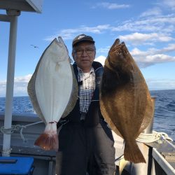 シーランチ 釣果