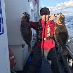 シーランチ 釣果