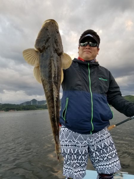 アマテラス 釣果