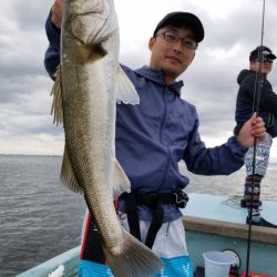 アマテラス 釣果