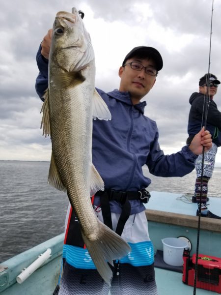 アマテラス 釣果