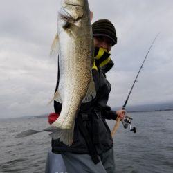 アマテラス 釣果