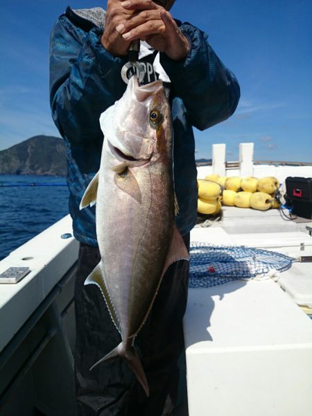 エンペラー 釣果