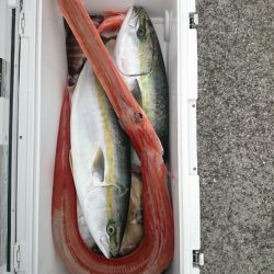 エンペラー 釣果