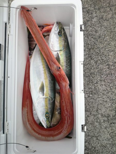 エンペラー 釣果