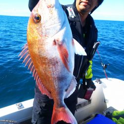 ブルドック 釣果