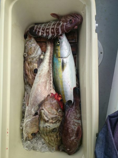 エンペラー 釣果