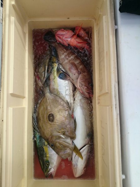 エンペラー 釣果