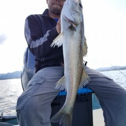 アマテラス 釣果