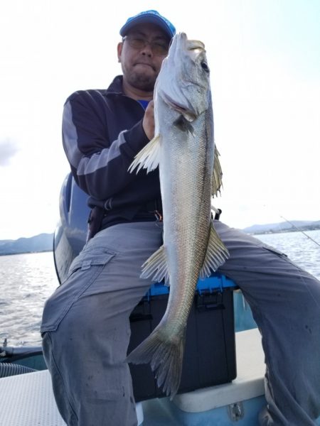 アマテラス 釣果