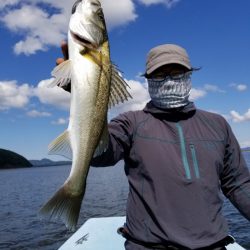 アマテラス 釣果