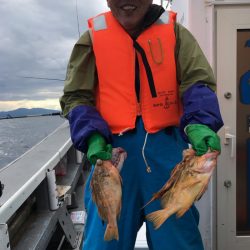 シーランチ 釣果