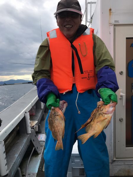 シーランチ 釣果