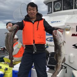 シーランチ 釣果