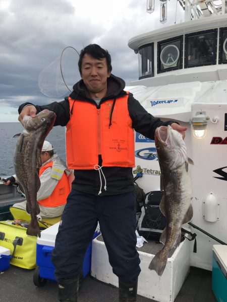 シーランチ 釣果