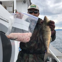 シーランチ 釣果